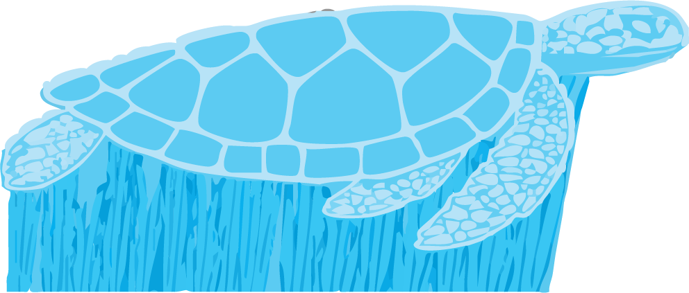 3D LG Turtle